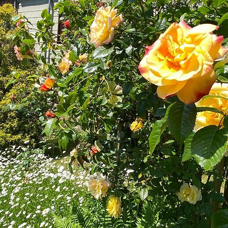 Reisekultouren Apartments Detmold Bagian luar foto