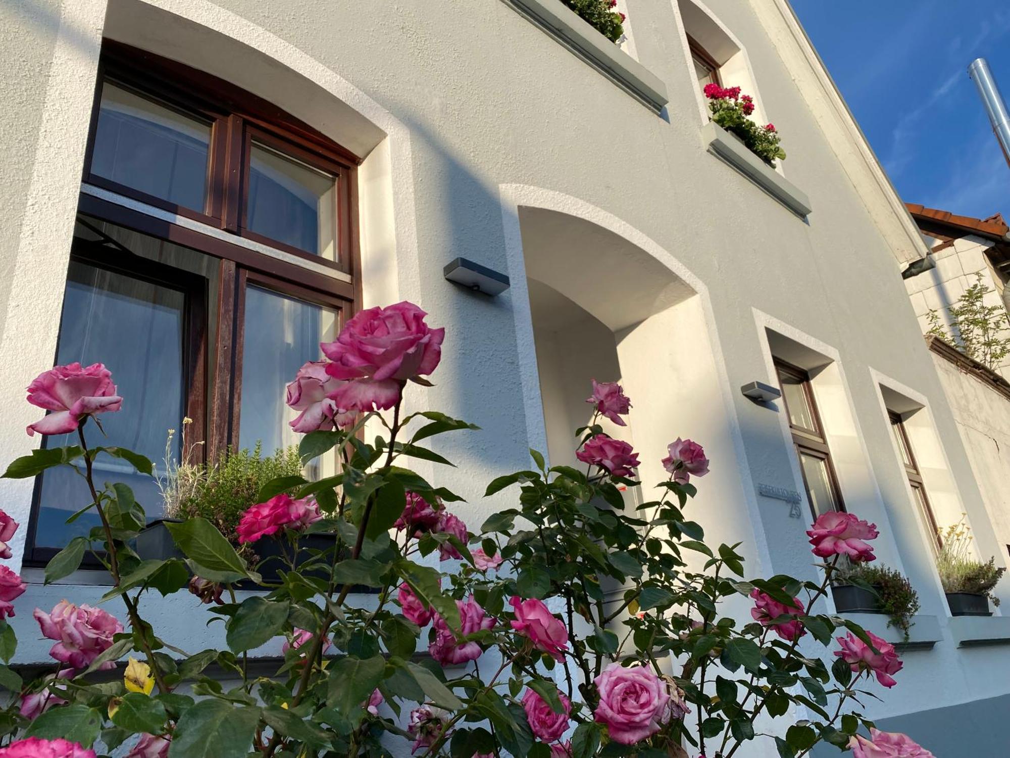 Reisekultouren Apartments Detmold Bagian luar foto
