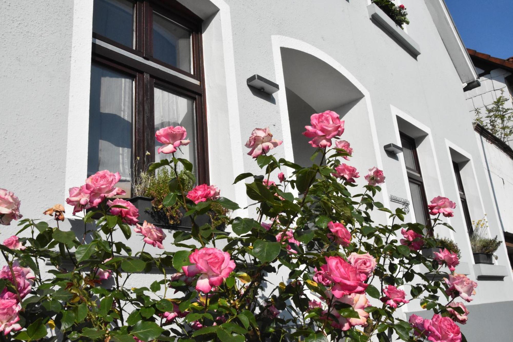 Reisekultouren Apartments Detmold Bagian luar foto